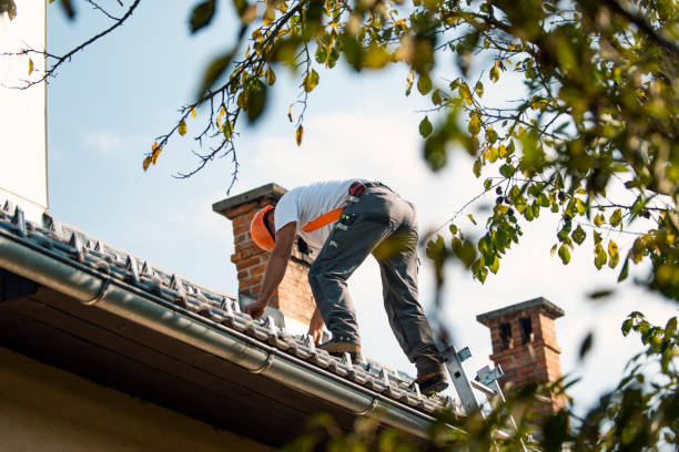 Best Sealant for Roof  in Mcchord Af, WA